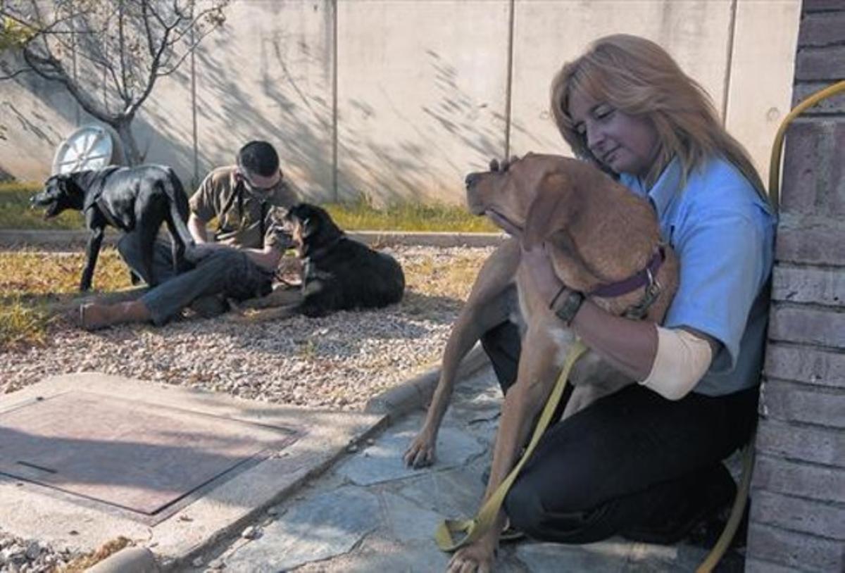 En acción 8 Sesión de terapia asistida con perros en el jardín de la prisión de Quatre Camins.