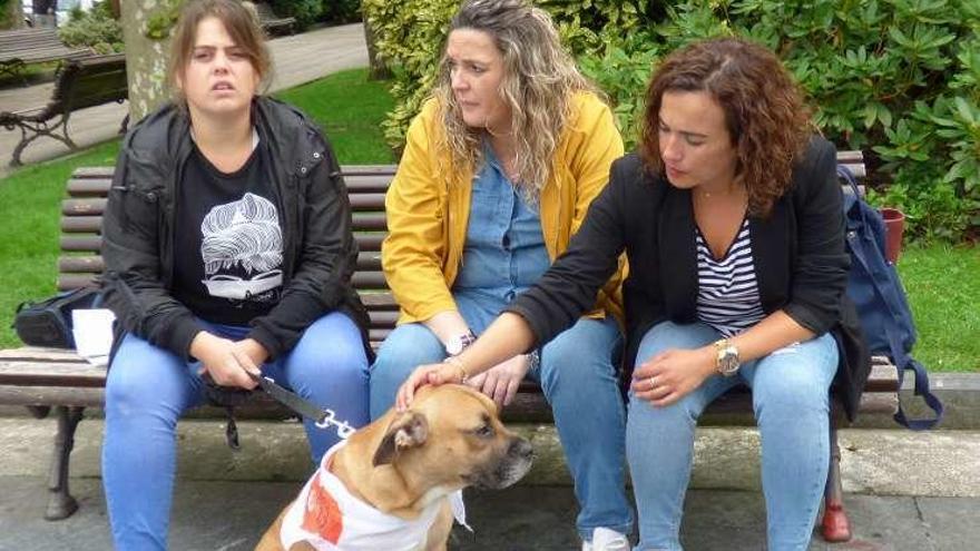 Patricia Castellanos y las ediles Paula Onís y Noelia Macías, con el perro &quot;Ringo&quot;.