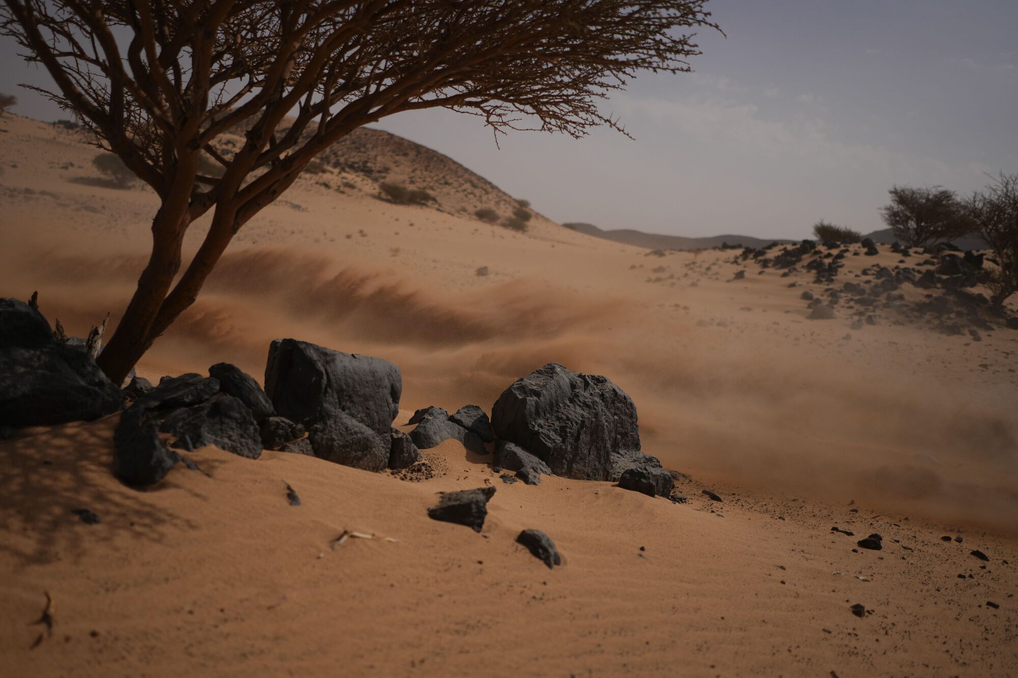 Undécima etapa del Rally Dakar 2026, en imágenes.
