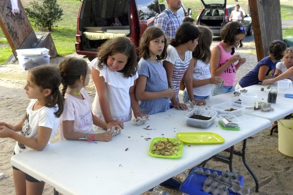 Fiesta de la Fresa 2016 en Eirís