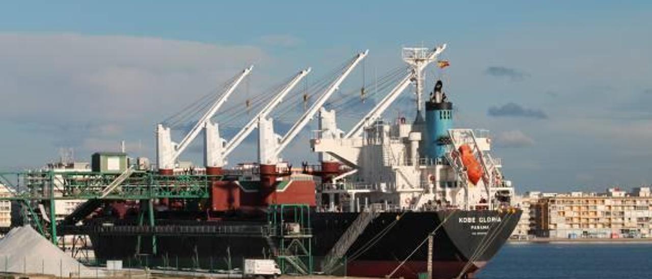 Torrevieja logra nuevos mercados para la exportación de sal en países de África
