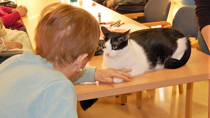 El sociosanitari Bernat Jaume incorpora la teràpia assistida amb animals