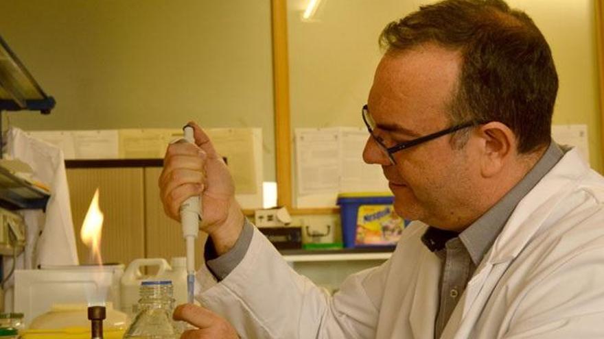 Sergi Maicas, profesor de Microbiología de la Universitat de València (UV).