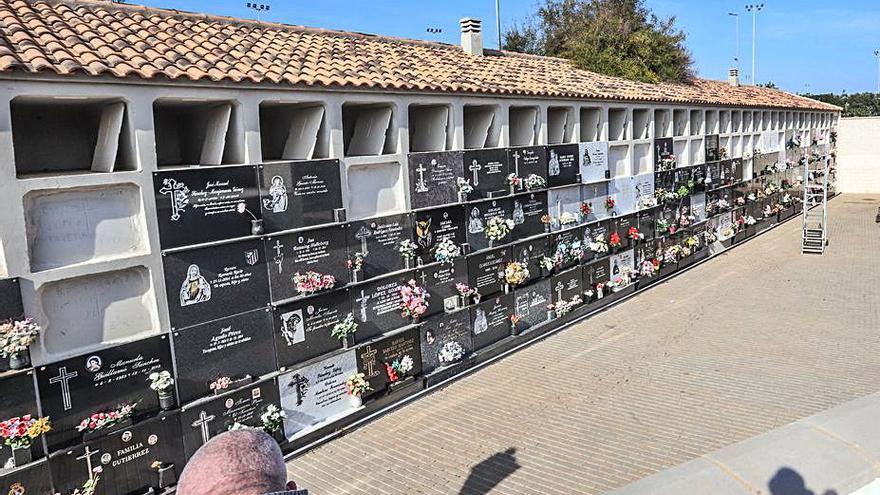 Imagen del cementerio de Torrevieja. | TONY SEVILLA