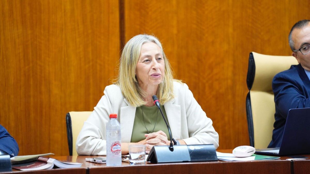 La consejera de Salud y Consumo de la Junta de Andalucía, Rocío Hernández, ha comparecido este miércoles por primera vez en comisión parlamentaria