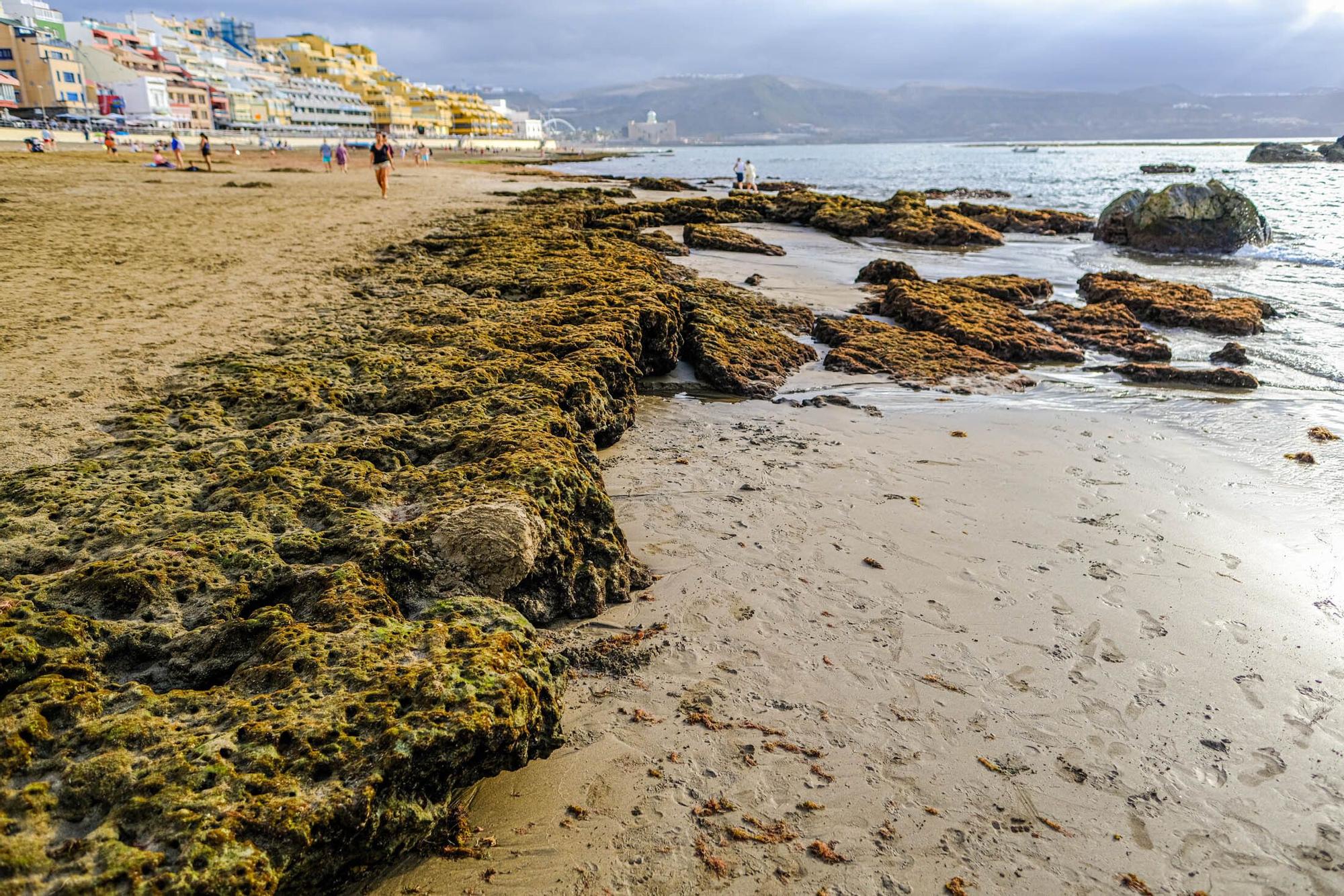 Playas fósiles de Las Canteras