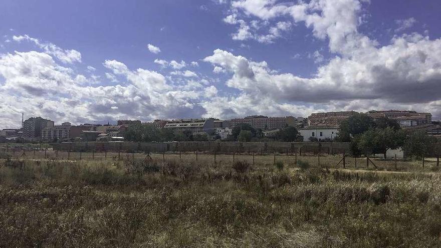 Tras el vallado, zona dedicada a los huertos urbanos municipales.