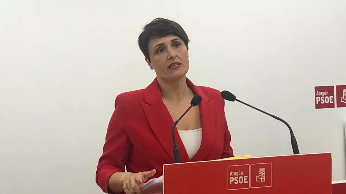 PSOE pide a Azcón medidas para proteger a los trabajadores de Alcampo