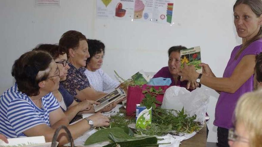 El primero en celebrarse fue el taller de plantas medicinales. // Fdv