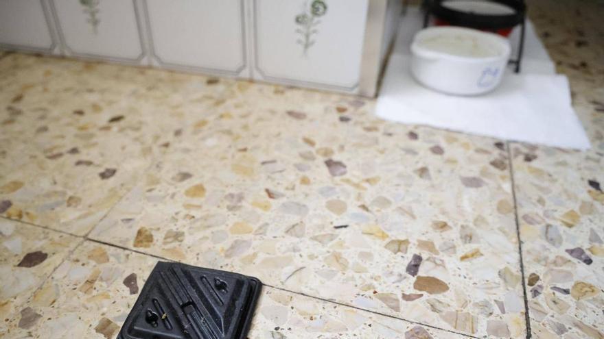 Les imatges de la plaga de Paneroles de l'Eixample