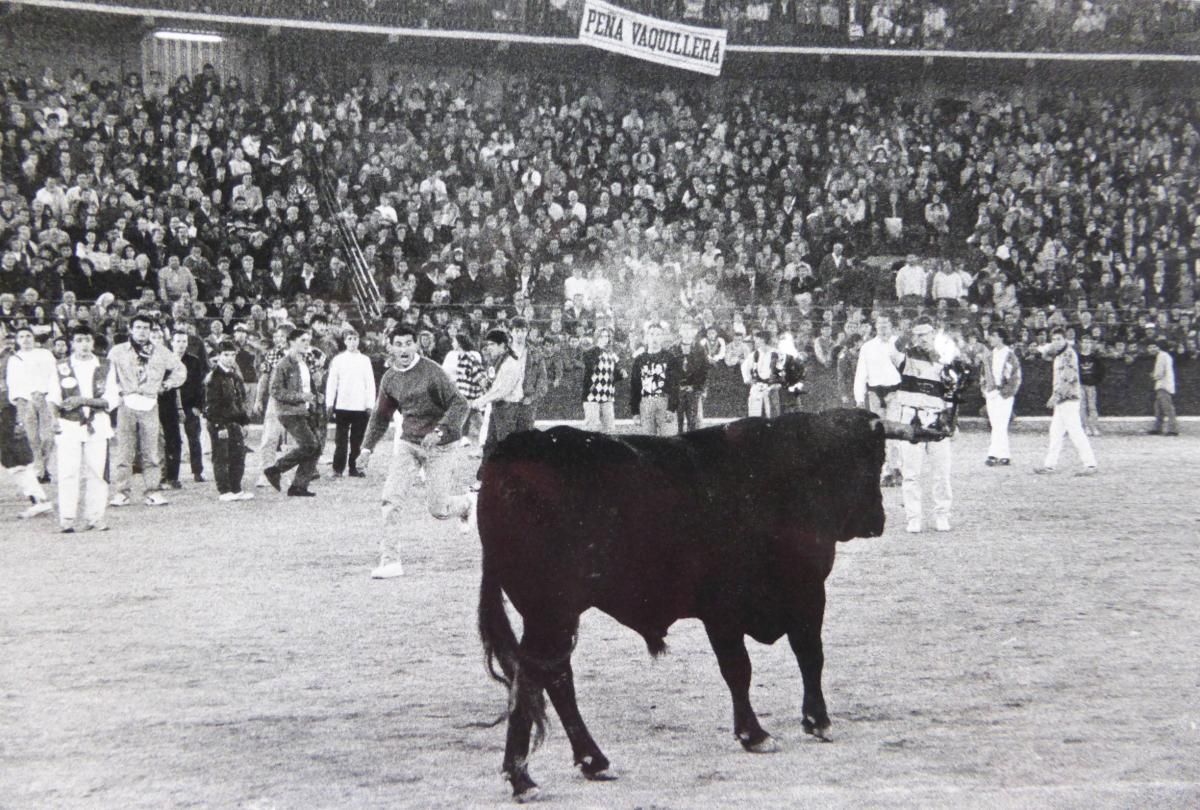 Los festejos taurinos