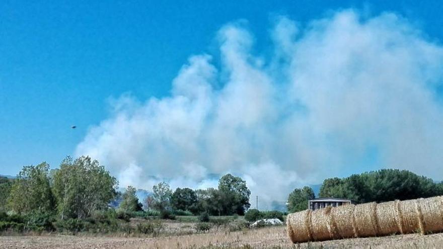 Un incendi crema en una àrea boscosa de Maçanet