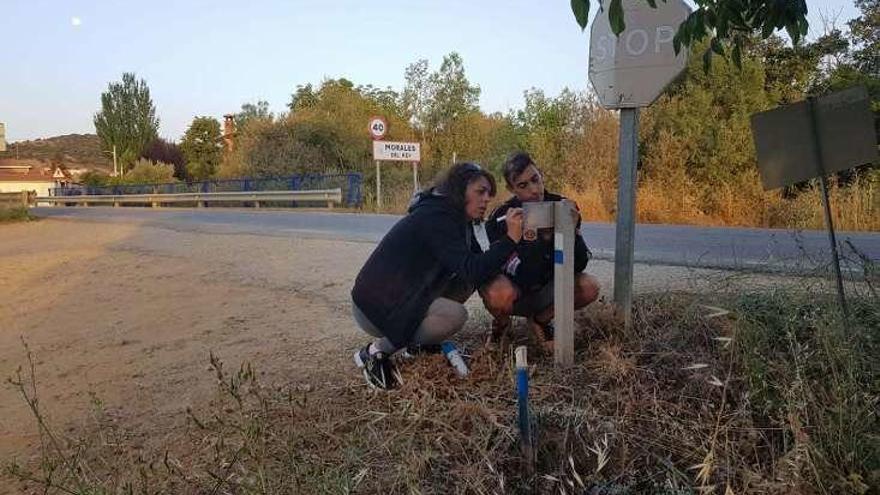 Mejora de la señalización de una de las rutas, en Morales.