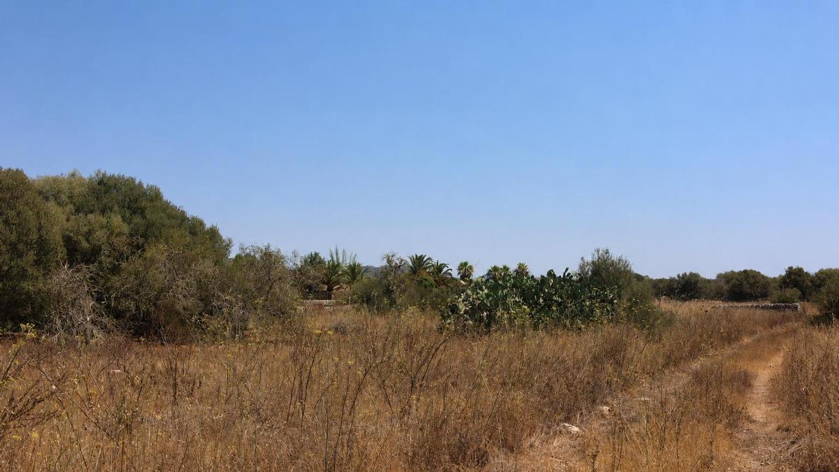 Imagen del terreno cedido por el Ayuntamiento para la construcción de la casa cuartel.