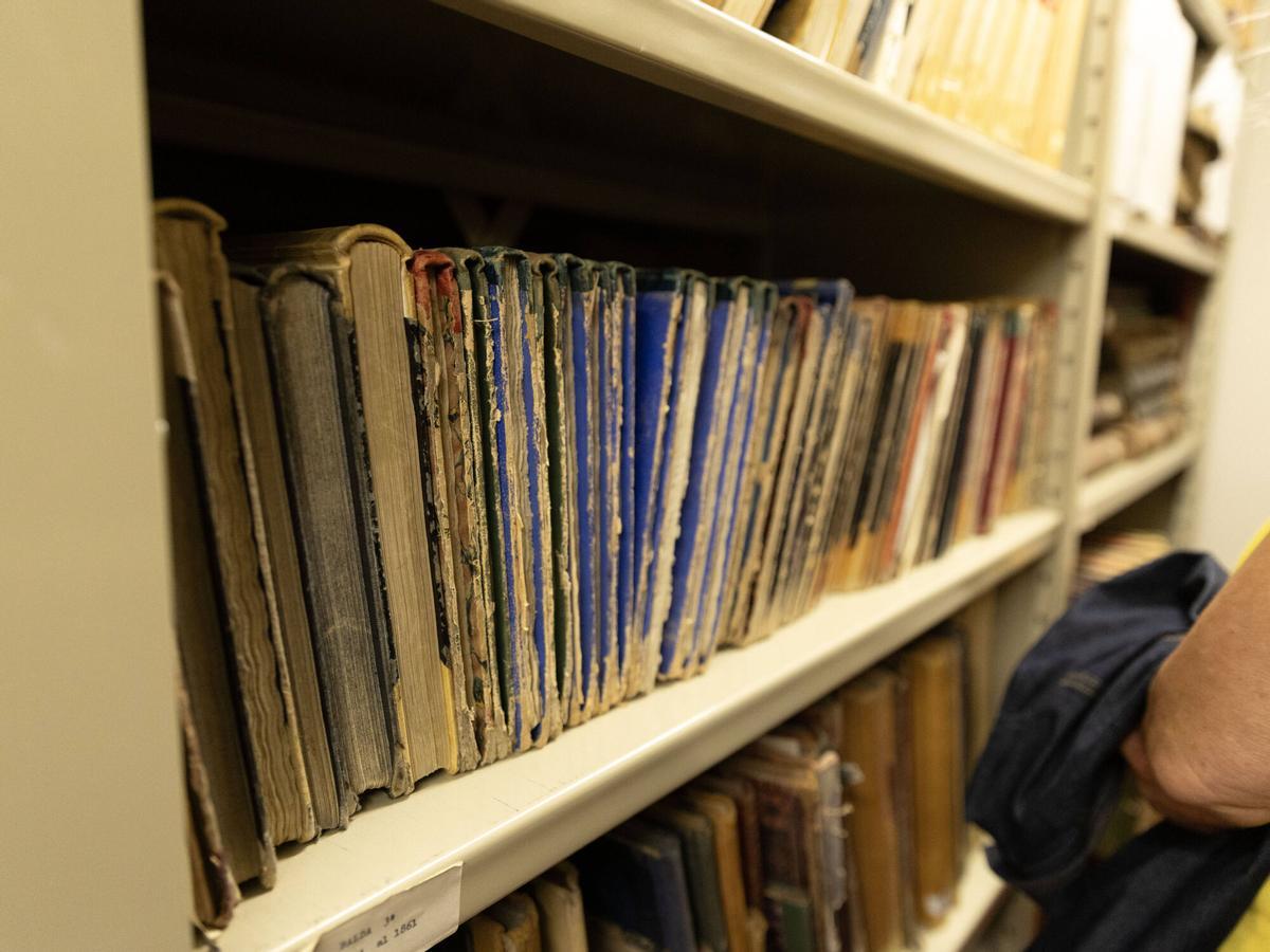 Las mejores imágenes del archivo de Toro