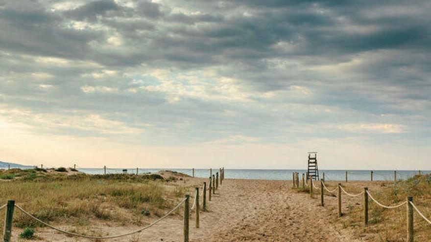 Els signants defensen l&#039;ús social de la platja de la Rubina