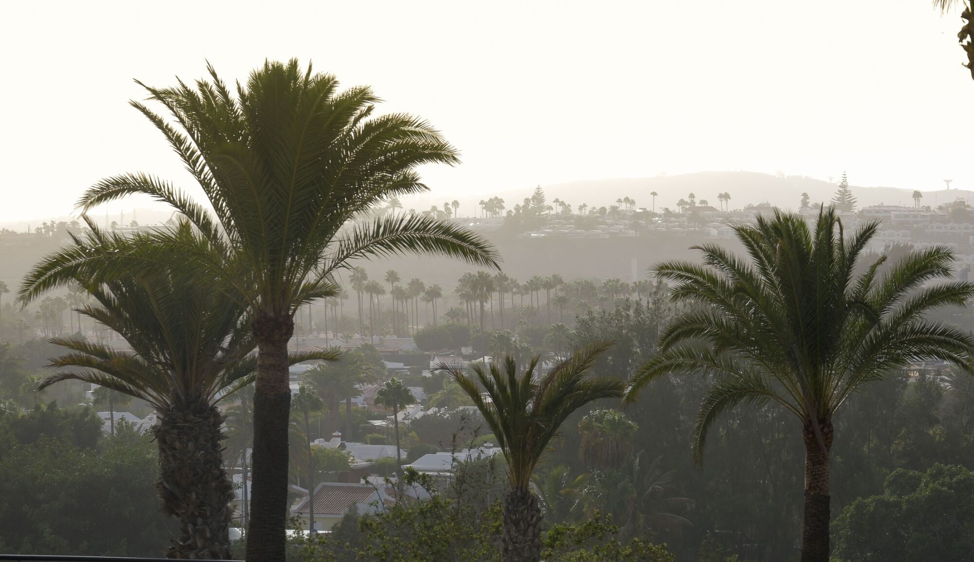 Calima en la zona de Maspalomas (16/09/25)