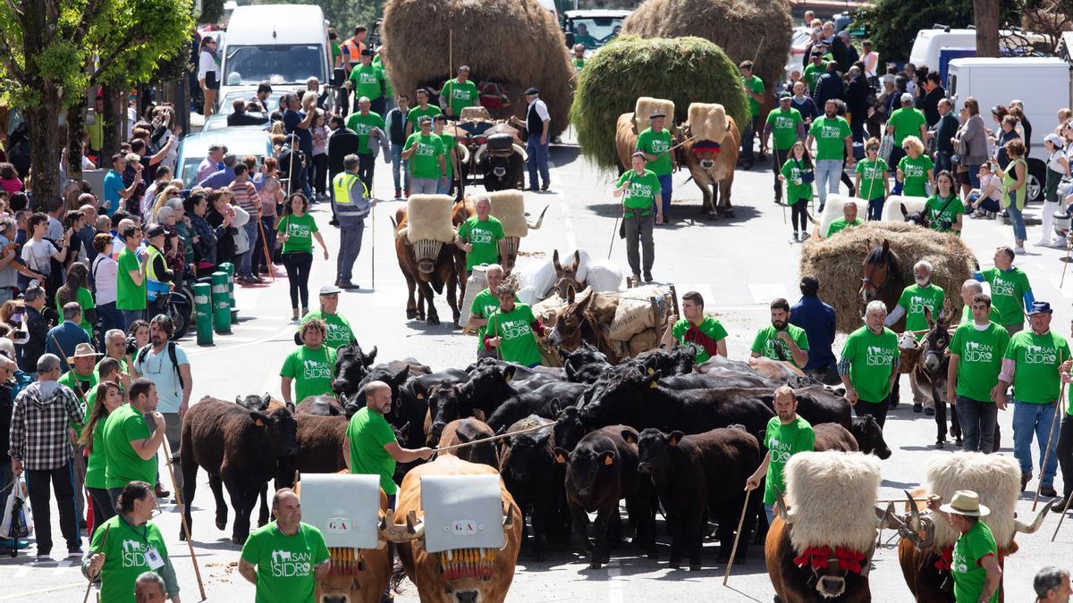 Así es el espectacular desfile de carros y animales de Llanera