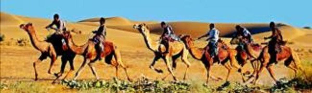 Músics, ballarins i encantadors de serps es reuneixen en un festival en una inhòspita regió índia_MEDIA_2
