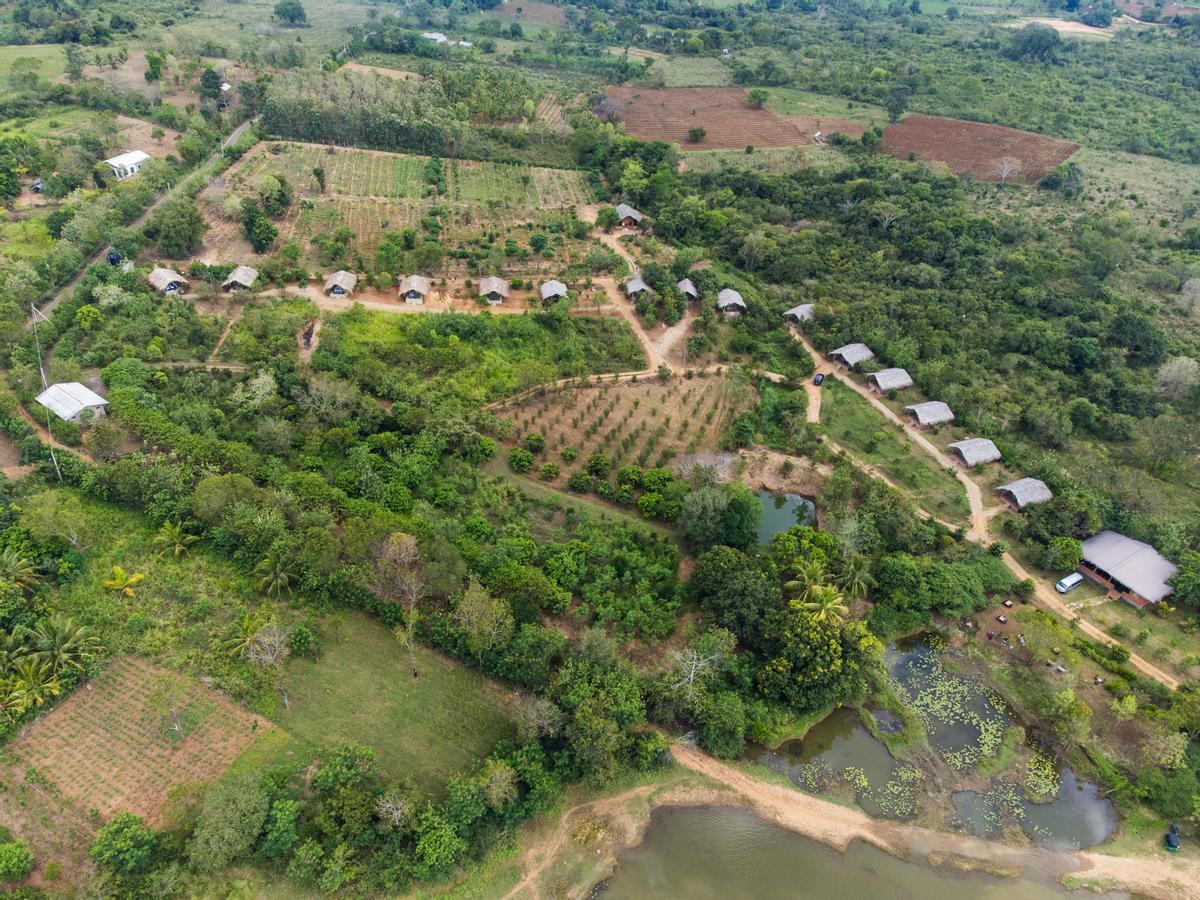 Forest Lodge Eco Camp en Udawalawe.