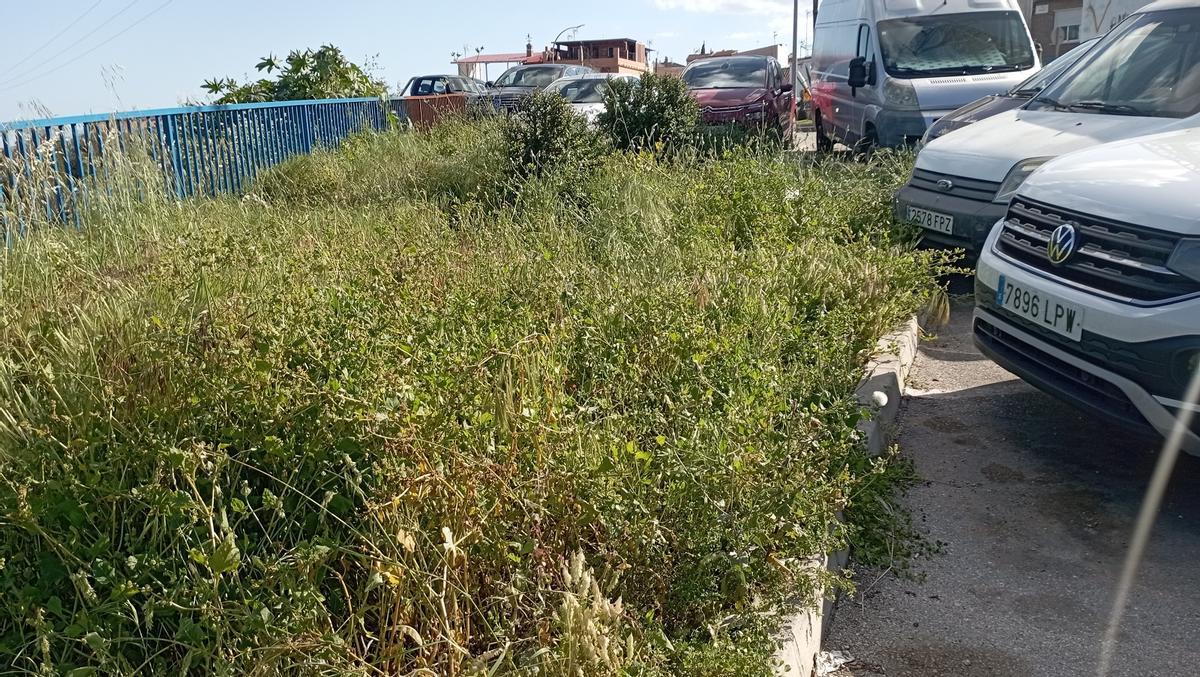 Vegetación sin desbrozar junto a un aparcamiento de Carlinda.