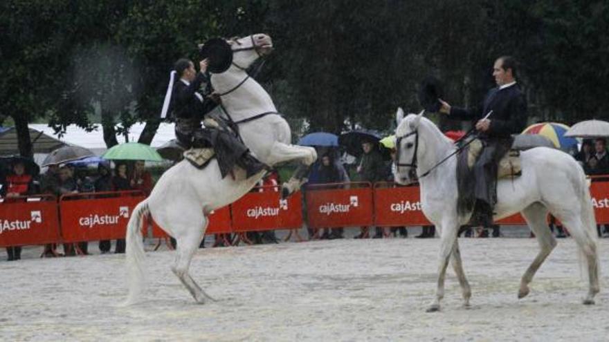 Esplendor equino pese a la lluvia en Infiesto