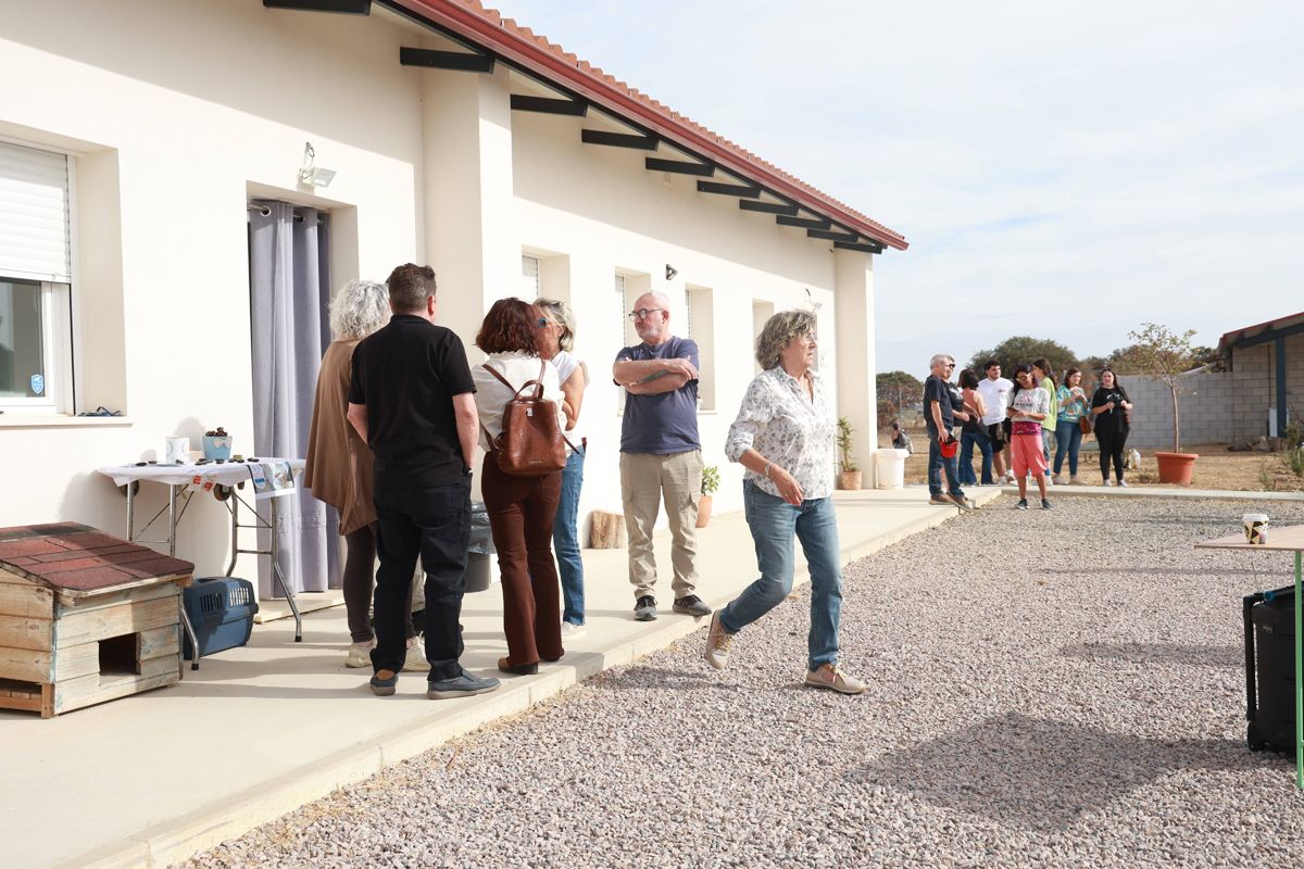 Fotogalería | Así es el nuevo albergue para animales de Cáceres