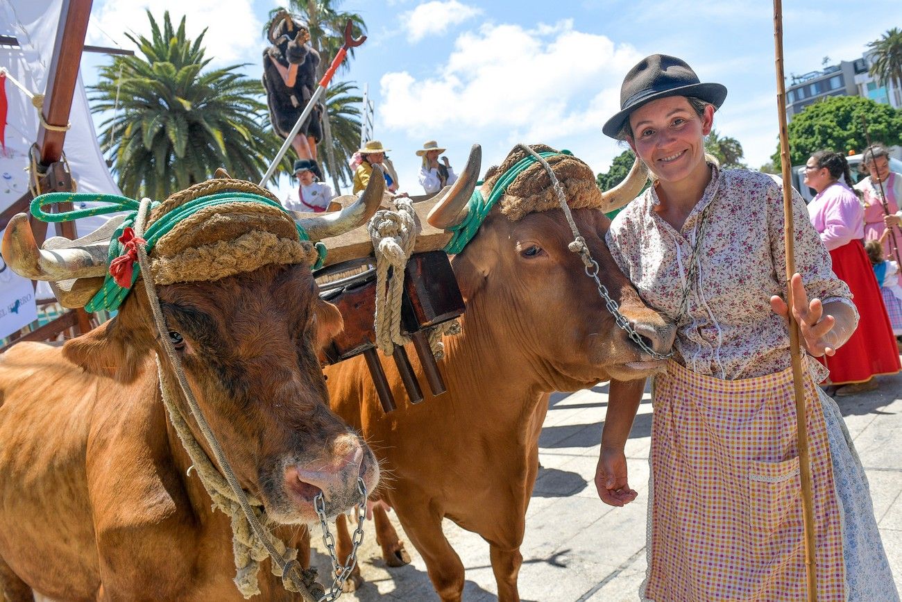 Una romería con bikini en Las Palmas de Gran Canaria