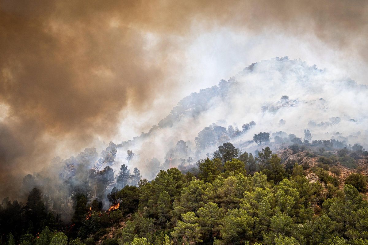 Dentro del incendio en Baix Ebre: los bomberos trabajan a contra reloj en el incendio forestal en Paüls