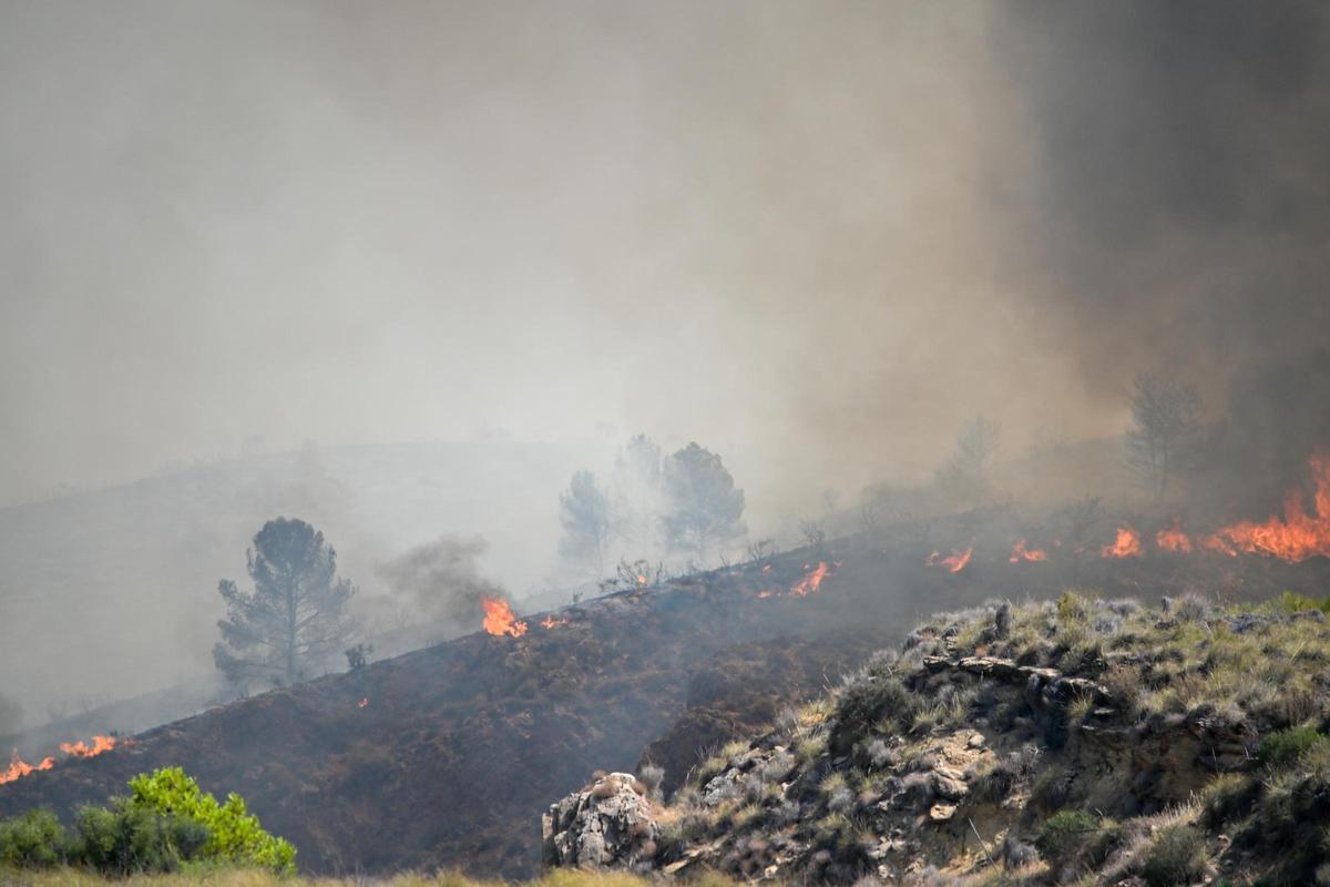 El nuevo escenario del fuego en España: menos incendios, pero más devastadores