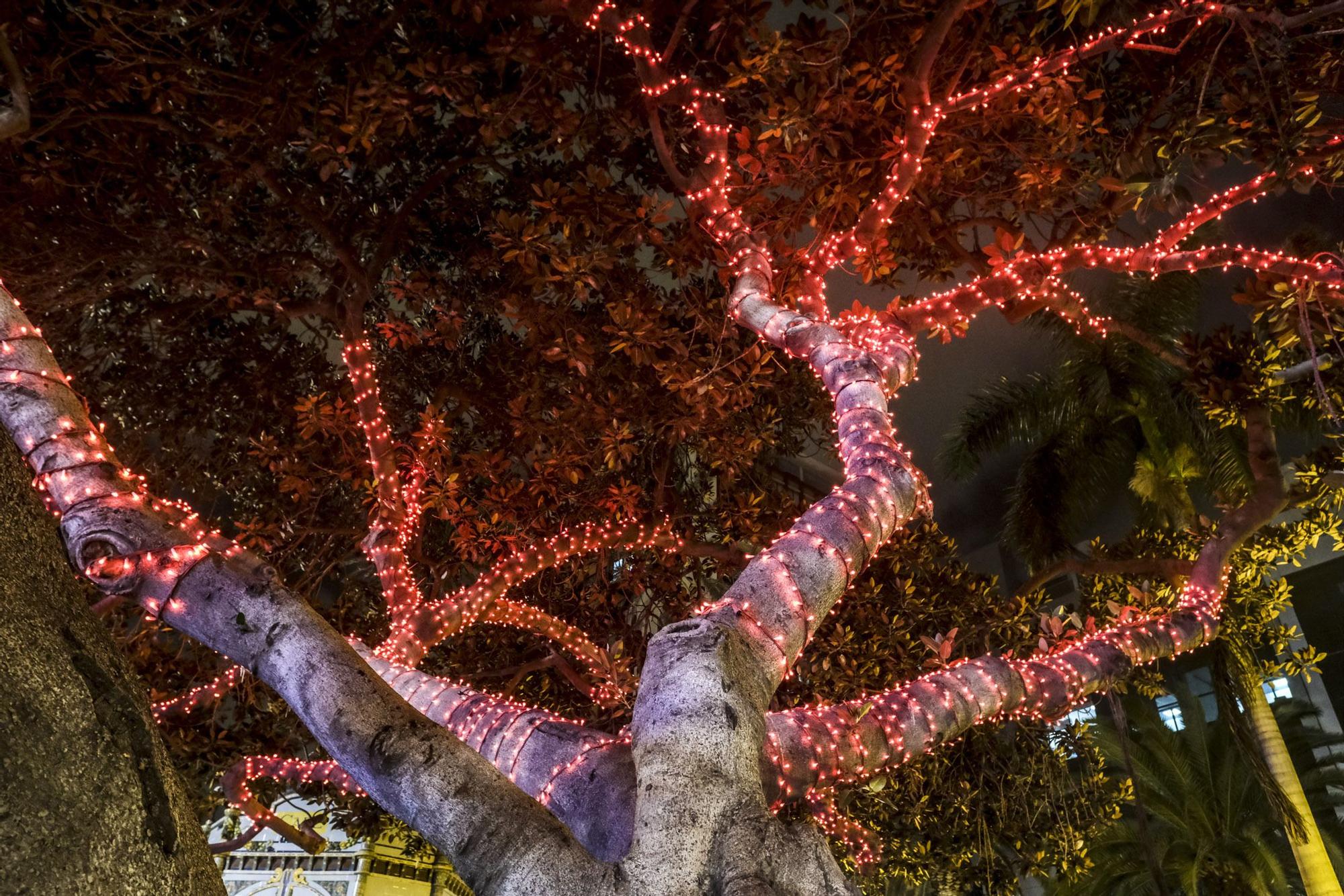 Encendido navideño en Las Palmas de Gran Canaria