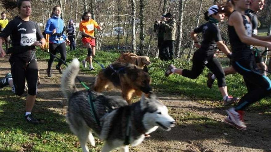 Imagen de archivo de mushing en A Estrada. // Bernabé / Cris M.V.