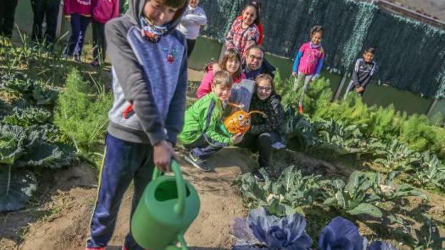 Un colegio que piensa en verde