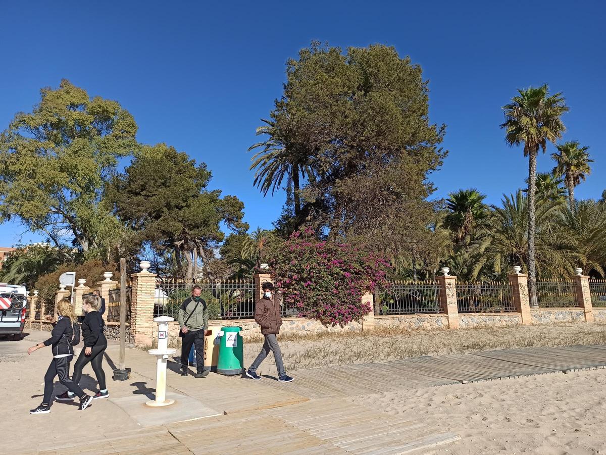 Imagen de una de las calles que delimitan el plan. En el centro, uno de los eucaliptus que desaparecen