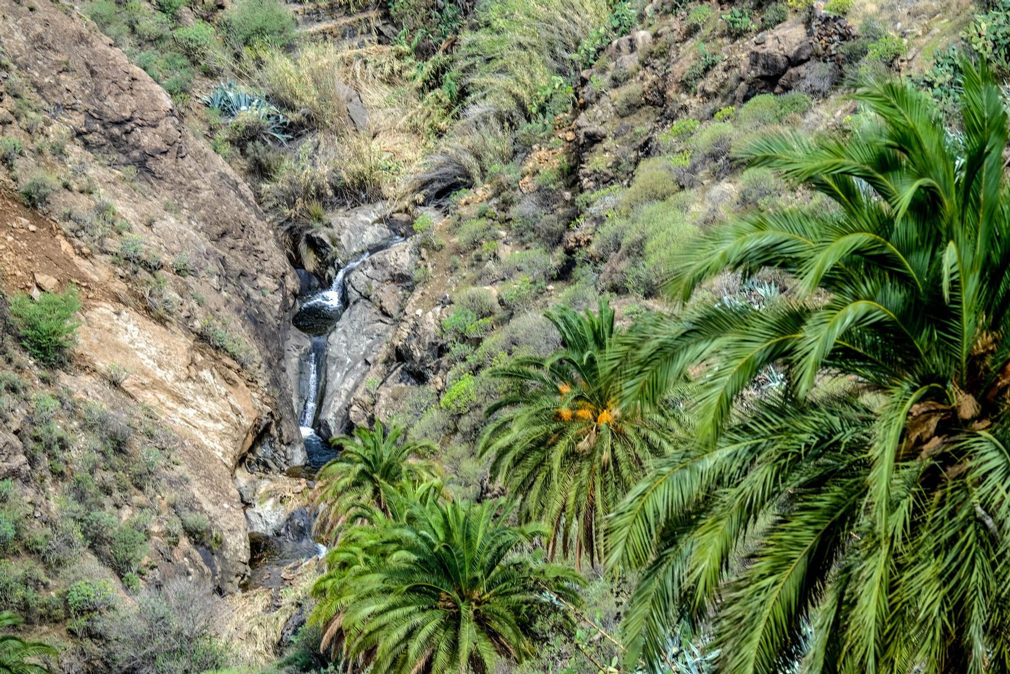 Estado de las presas en Gran Canaria