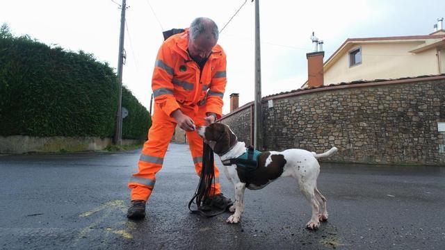 Cómo entrenar a tu perro para rastrear a personas desaparecidas.