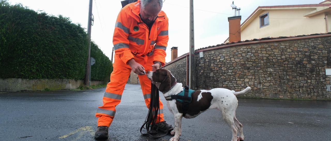 Cómo entrenar a tu perro para rastrear a personas desaparecidas