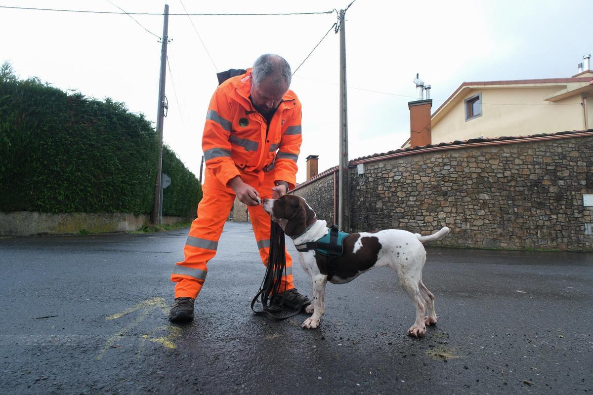 Cómo entrenar a tu perro para rastrear a personas desaparecidas.