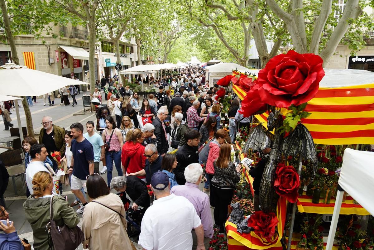 Les millor imatges de la Diada de Sant Jordi 2026 a Manresa