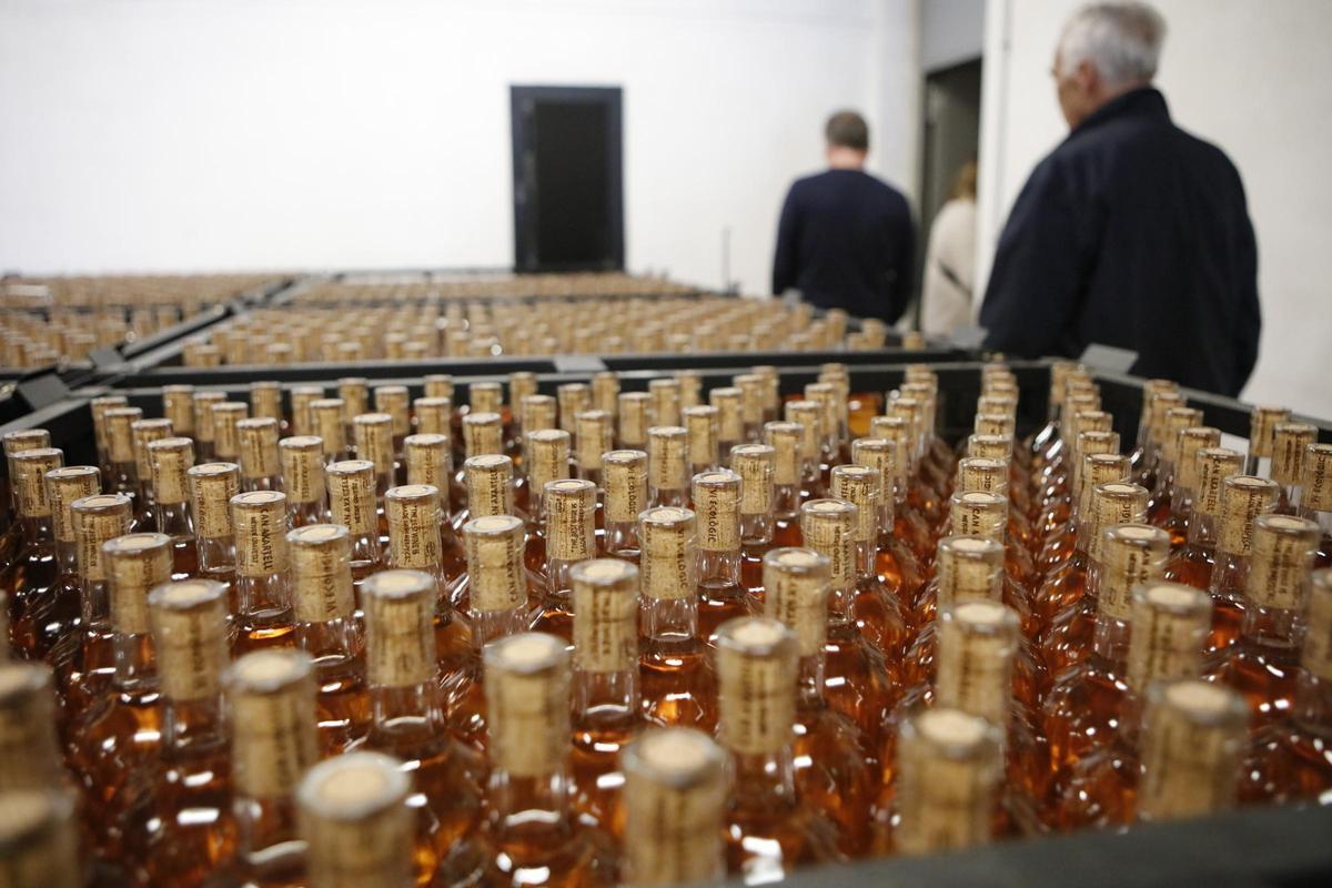 Zu Besuch in der Bodega Can Axartell.