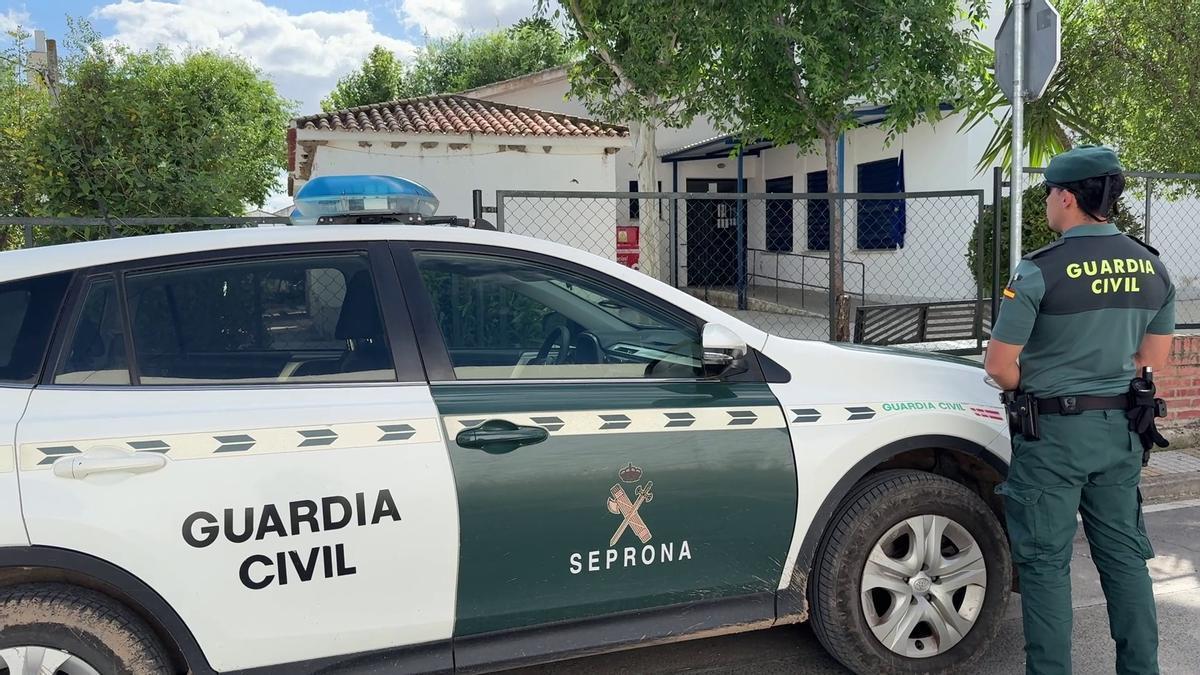 Investigan a tres personas en Córdoba por destruir nidos de avión común
