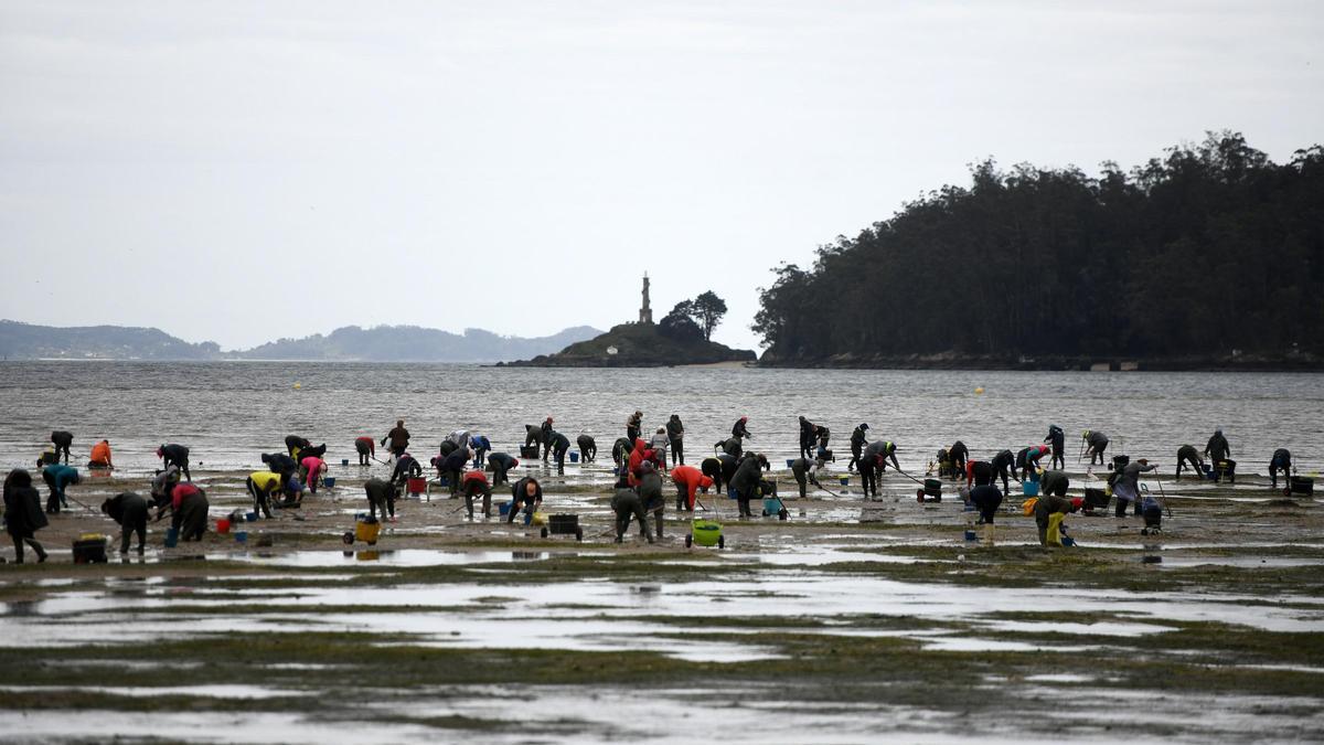 Las mariscadoras vuelven a faenar