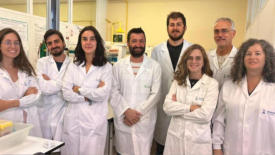 Investigadores de la Universidad de Zaragoza descubren una terapia eficaz frente a tumores de pulmón