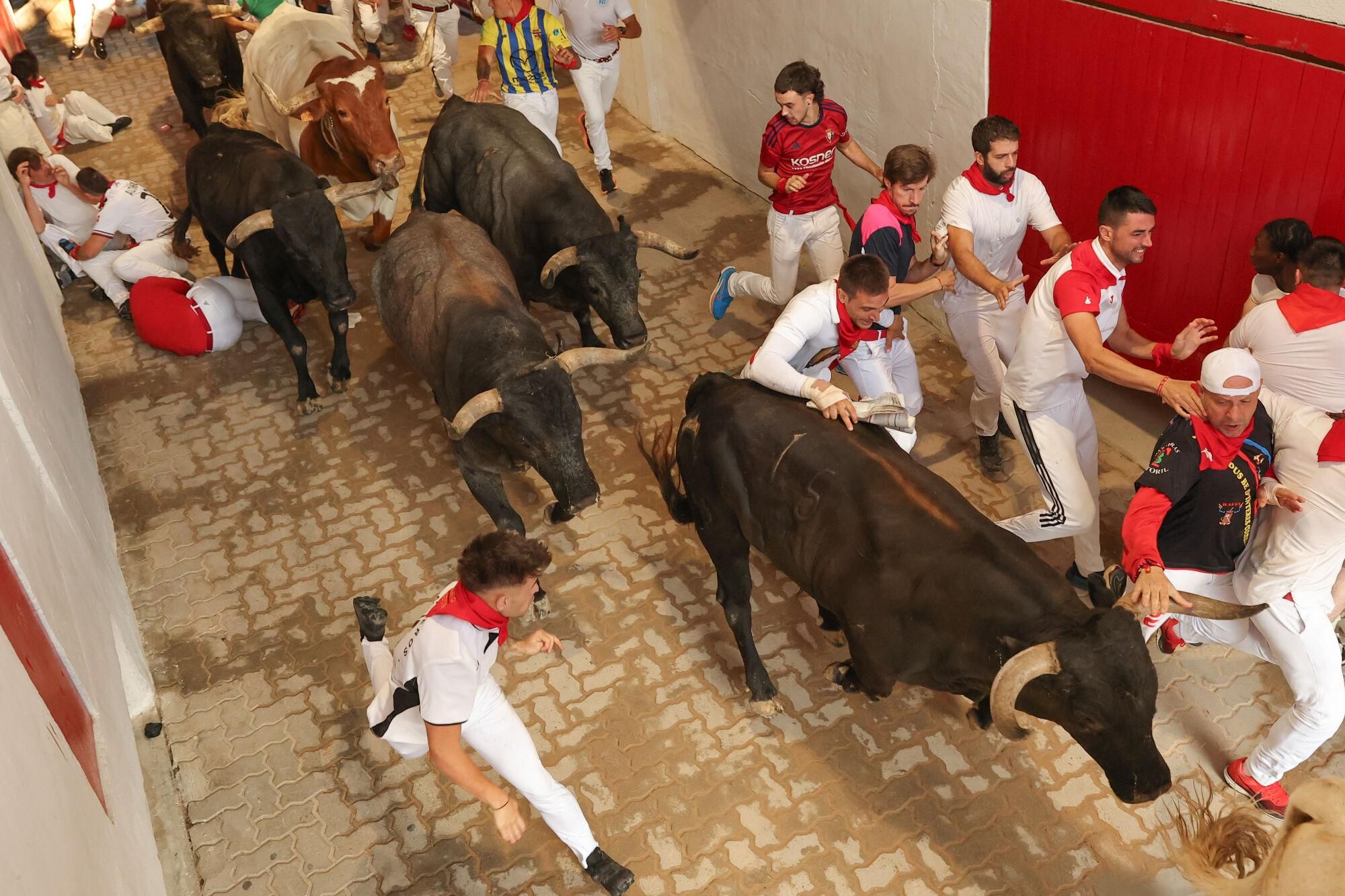 PAMPLONA, 14/07/2025.- Los mozos son perseguidos por toros de la ganadería sevillana de Miura en el callejón de entrada a la Plaza de Toros durante el octavo y último encierro de los Sanfermines este lunes. EFE/ J.P. Urdiroz