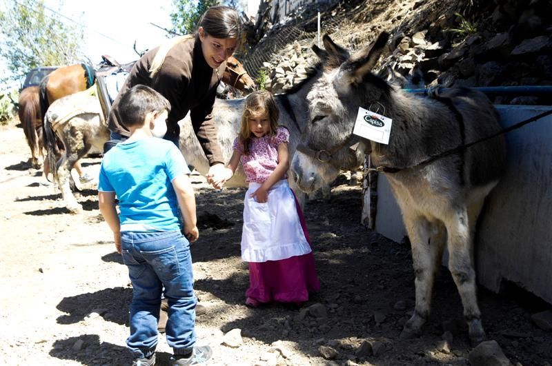 XX Feria Equina de La Culata de Tejeda