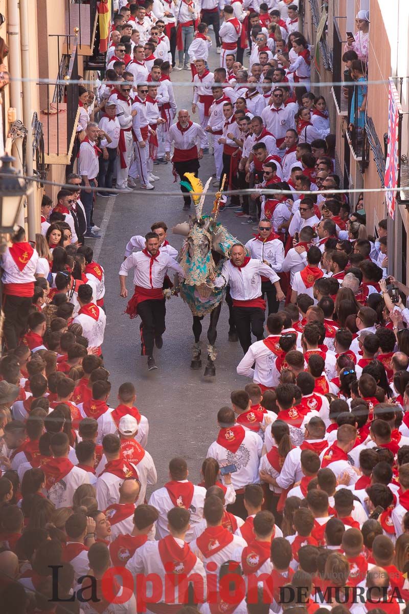 Caballos del Vino en la cuesta de la Simona