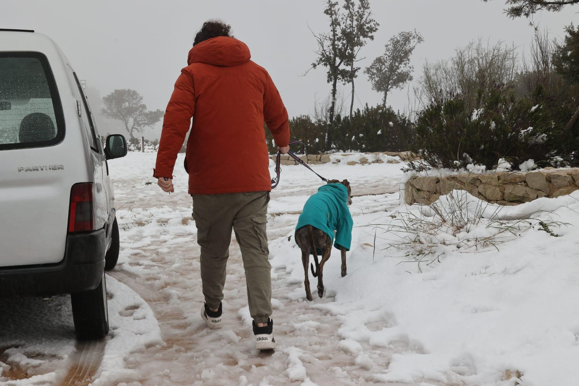 Nieve en Alicante: las estampas más esperadas en invierno