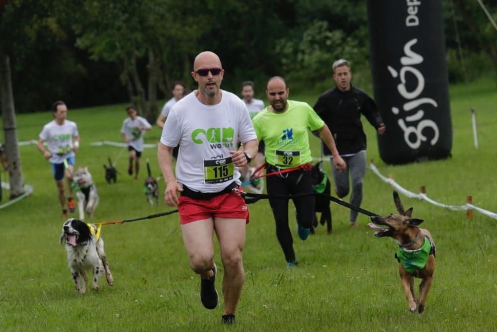 "Can We Run" reúne a más de 400 perros y corredores en el Parque Fluvial de Viesques, en Gijón.