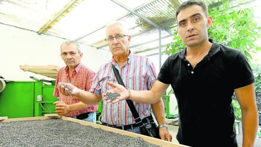 Lorenzo Pérez, a la derecha, con familiares en el almacén de cochinilla del barrio de La Suerte.