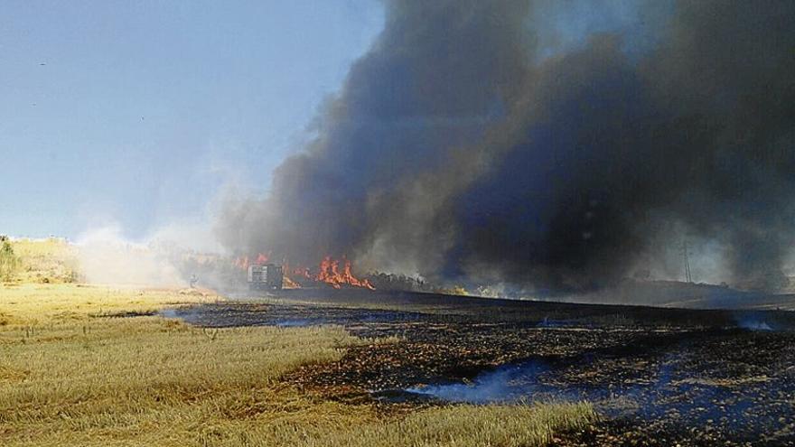 Un fuego quema 50 hectáreas en la carretera de Olivenza